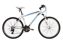 Bici raleigh sales rodado 29