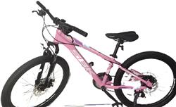 Bicicleta SBK R24 Rosa T-Rex 21v